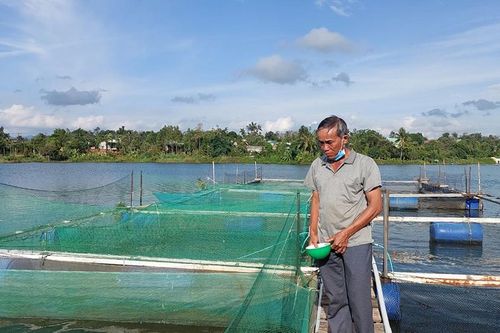 Sẵn sàng nguồn thủy sản phục vụ Tết