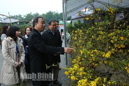 Thành phố Ninh Bình khai mạc Hội chợ hoa Xuân Giáp Thìn 2024