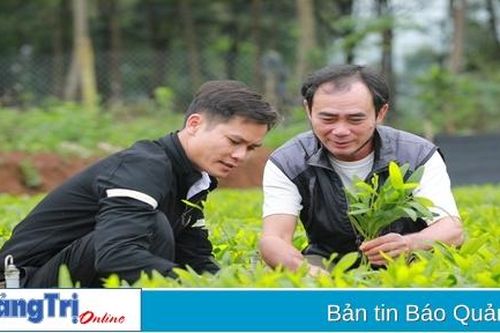 Người 'trả nợ' rừng