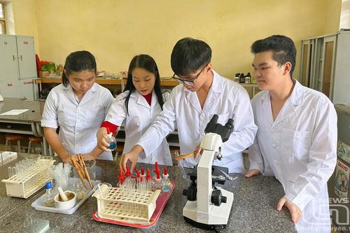 2 dự án của học sinh Trường Phổ thông Vùng cao Việt Bắc đoạt Huy chương Vàng tại Hàn Quốc