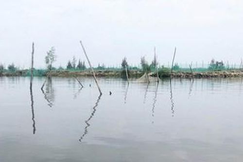 Ngăn chặn lấn chiếm đất có mặt nước chuyên dùng trên đầm phá