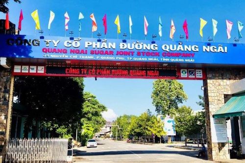 Đường Quảng Ngãi có hơn 6.000 tỷ đồng gửi ngân hàng, lãi ròng tăng cao