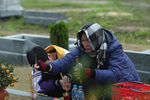 Người Hà Nội mang đào, quất đi tảo mộ, mời gia tiên về ăn Tết sớm