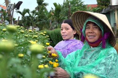Xứ hoa rộn ràng 'ăn Tết' sớm