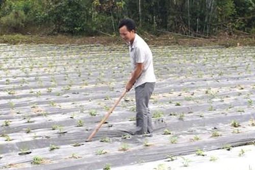 Xóa nghèo ở Đầm Hà
