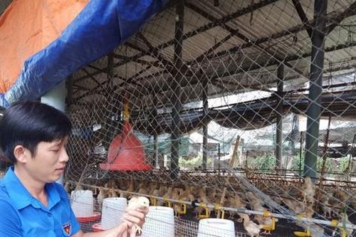 Đề cử Giải thưởng Gương mặt trẻ Việt Nam tiêu biểu 2023: Phạm Trí Viễn