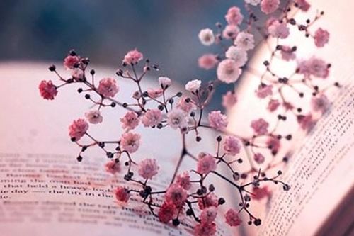 Nỗi nhớ...