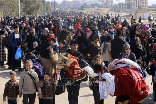 Xung đột Hamas-Israel: LHQ kêu gọi các nước tiếp tục tài trợ UNRWA