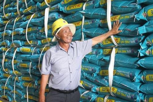Một loại sản phẩm giúp nông dân 3 giảm, 3 tăng