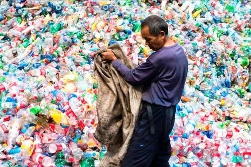 Biến rác thải nhựa thành tơ sinh học