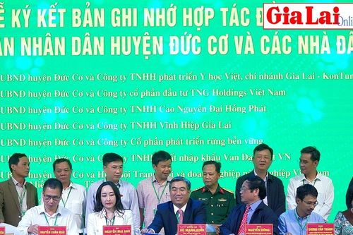 Đức Cơ đẩy mạnh xúc tiến đầu tư, tăng cường kết nối doanh nghiệp