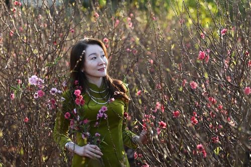 Ngắm đào xứ Bắc trên đất Gia Lai