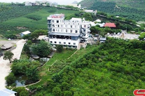 Mộc Sương - trà và hoa