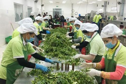 Bảo đảm cung ứng đủ nông sản, thực phẩm