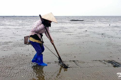 Ngư dân làng biển Hải Hà mưu sinh trong giá lạnh