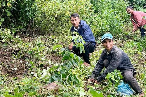 Tạo sinh kế cho người dân vùng thủy điện miền trung-Tây Nguyên