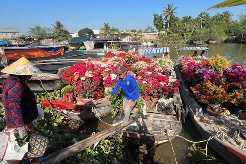 Tất bật chuyển hoa ra chợ Tết
