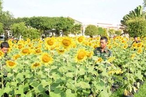 Rực rỡ sắc hoa xuân ở Sư đoàn 5