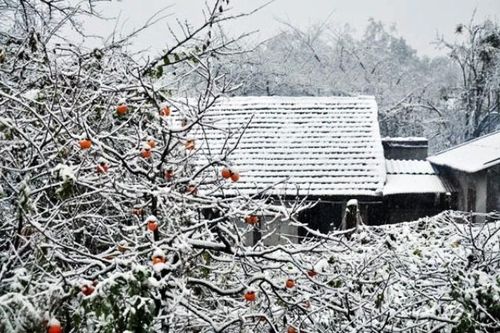 Đừng quá khuôn mẫu, cứng nhắc