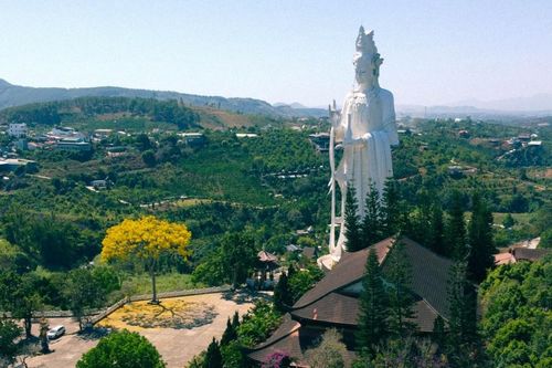 Phượng vàng rực rỡ khoe sắc bên tượng Quan Âm hơn 70m, cao nhất Lâm Đồng