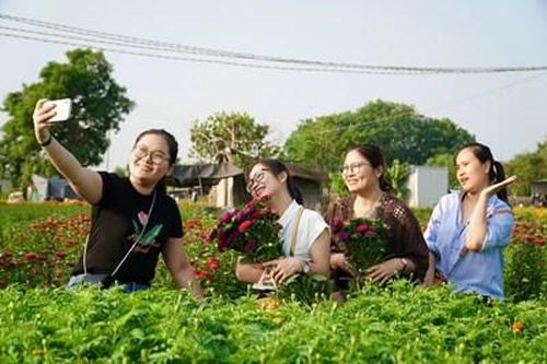 Thủ phủ hoa Bình Dương rực sắc Xuân những ngày cận Tết