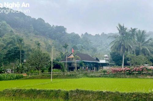 Trước thềm Xuân, nghe chuyện người Đan Lai đổi mới