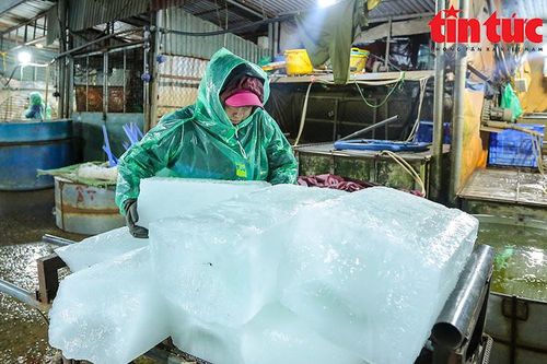 Tiểu thương chợ cá Yên Sở tay trần khiêng nước đá, bắt cá mưu sinh trong giá rét