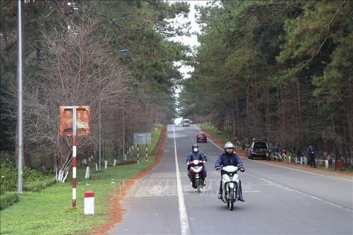 Phát triển Măng Đen thành thị trấn hoa Anh đào, bốn mùa hoa nở