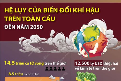 Hệ lụy của biến đổi khí hậu trên toàn cầu đến năm 2050