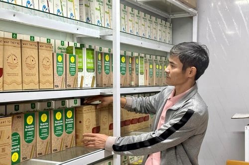 Doanh nghiệp thành lập mới tăng gần 25%, tiếp tục giải pháp thúc đẩy đầu tư tư nhân