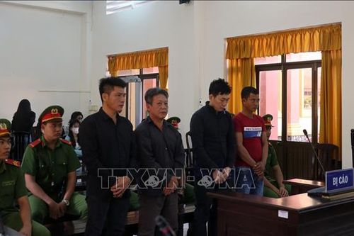 Án phạt nghiêm minh với các đối tượng vi phạm pháp luật
