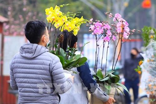 Công bố thông tin Chợ hoa Xuân Bình Điền Tết Giáp Thìn 2024