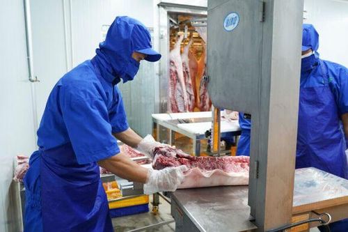 Yếu tố nào khiến BAF báo lỗ lần đầu tiên kể từ khi niêm yết?