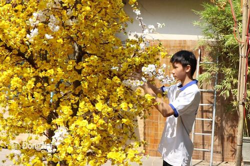 Sắc xuân ở các cơ sở tôn giáo