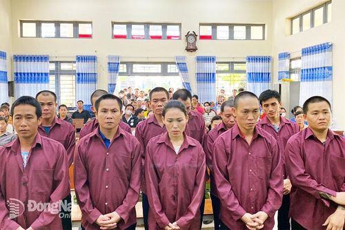 Buôn bán pháo nổ, 11 bị cáo lãnh hơn 31 năm tù