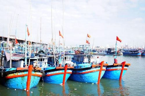 Ra quân khai thác hải sản
