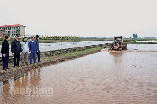 Phấn đấu cơ bản hoàn thành việc lấy nước vụ đông xuân ngay trong đợt 1