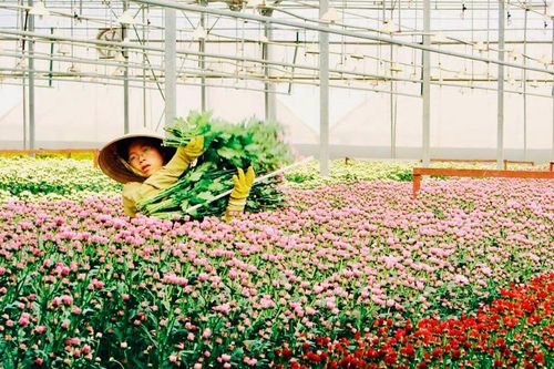 Phát triển du lịch Lâm Đồng trở thành 'Thiên đường xanh'