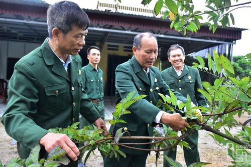 Cựu chiến binh La Hiên thi đua làm kinh tế giỏi