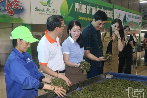 Đẩy mạnh quảng bá để thu hút du khách