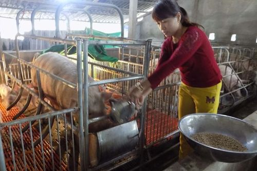 Không chủ quan với rét đậm, rét hại