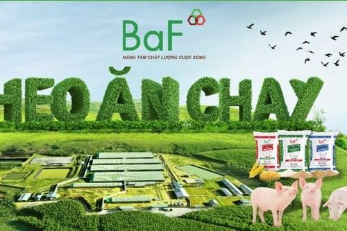 BAF ghi nhận nợ thuế, lợi nhuận tăng trưởng âm