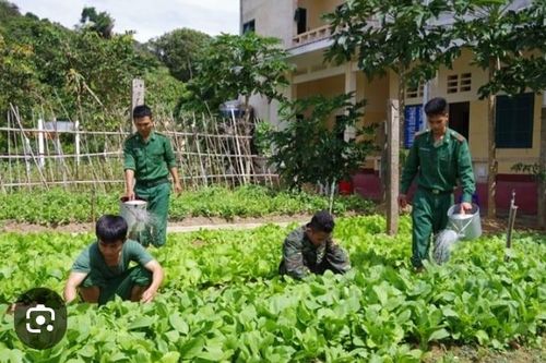 Lính doanh trại trồng rau