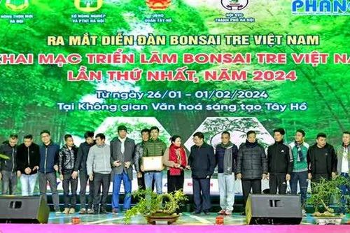 Ra mắt Diễn đàn Bonsai Tre Việt Nam