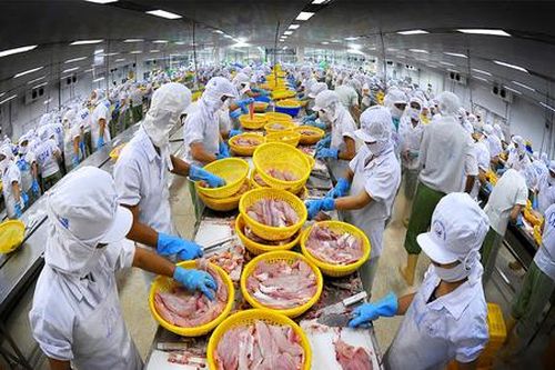 Cổ phiếu thủy sản vẫn... lênh đênh