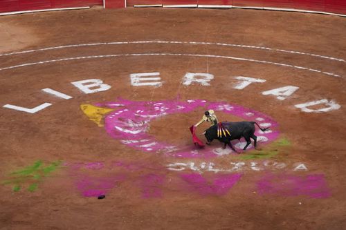 Tranh cãi kéo dài liên quan tới đấu bò tại Mexico