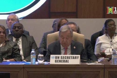 LHQ kêu gọi các nước tiếp tục tài trợ UNRWA
