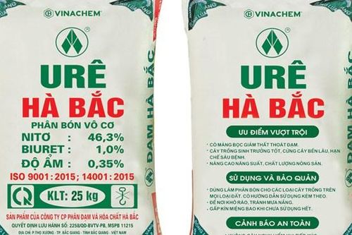 Tái cơ cấu khoản nợ, Đạm Hà Bắc (DHB) báo lãi hơn 1.649 tỷ đồng trong quý IV/2023