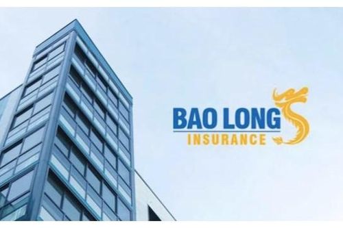 Lợi nhuận năm 2023 của Bảo hiểm Bảo Long (BLI) đi ngang so với năm ngoái