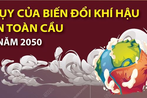 Hệ lụy của biến đổi khí hậu trên toàn cầu đến năm 2050